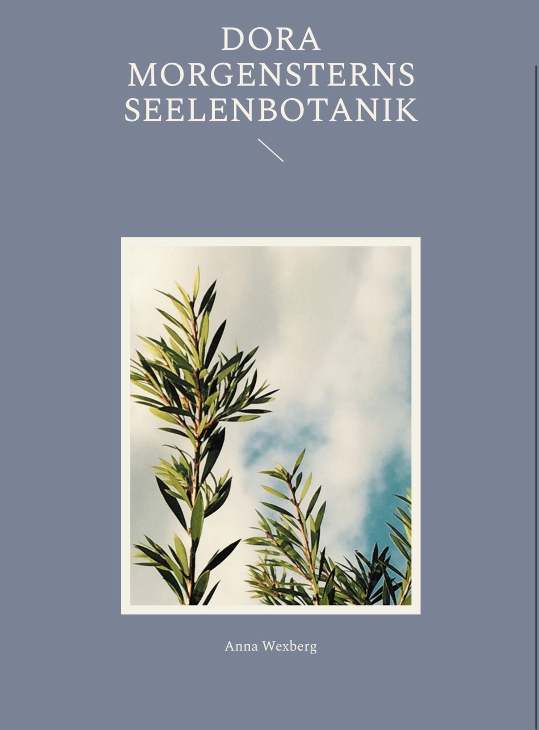 Buchcover von Dora Morgensterns Seelenbotanik von Anna Wexberg