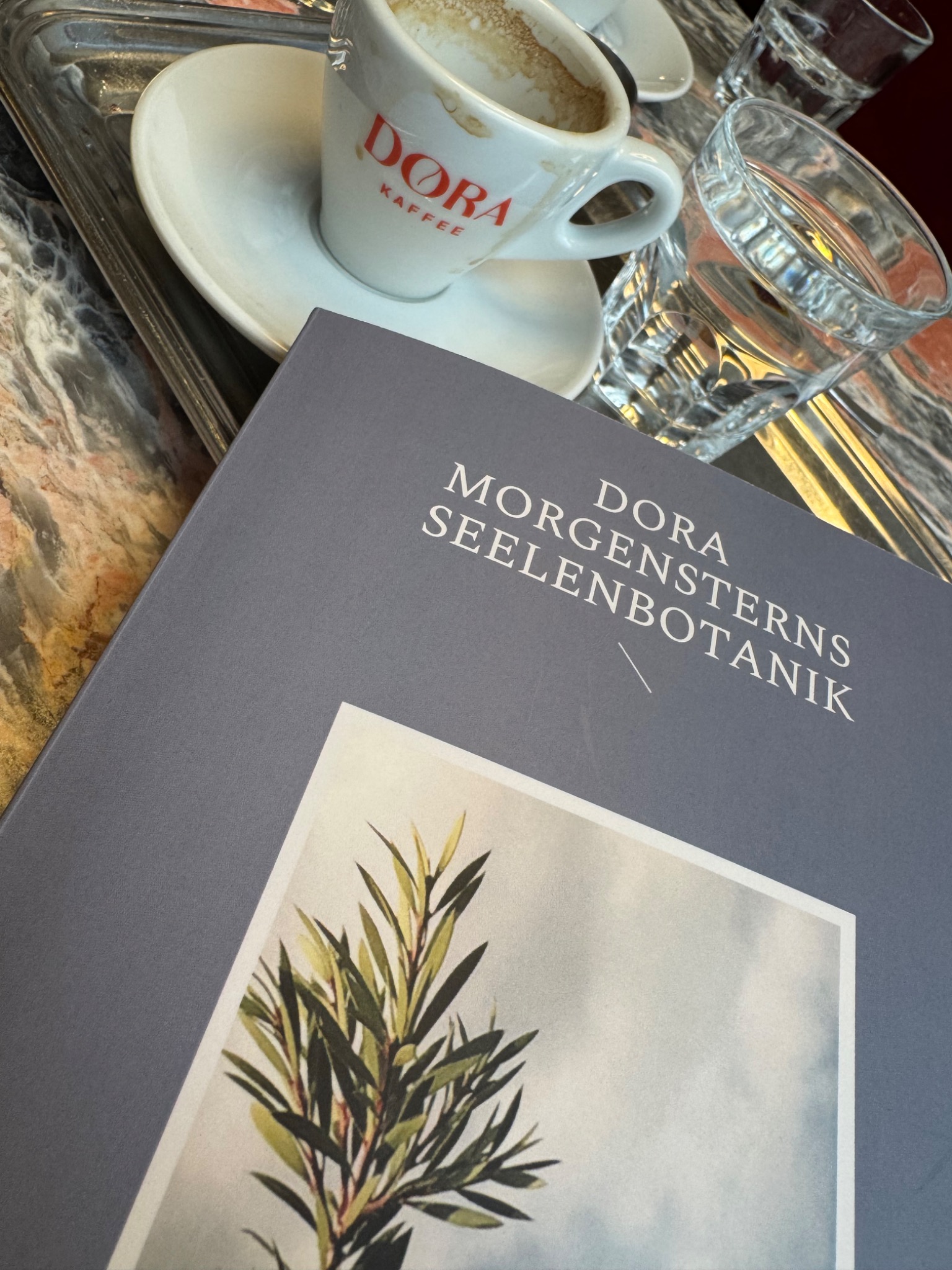 Dora Morgensterns Seelenbotanik auf einem Kaffeehaustisch neben einer Tasse Kaffee