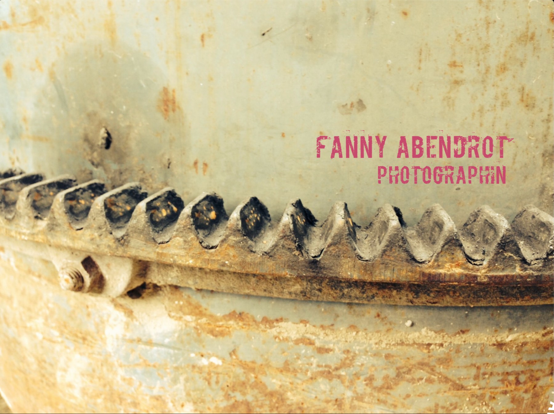 Fotografisches Motiv zu Fanny Abendrot mit dem Schriftzug Fanny Abendrot Photographin