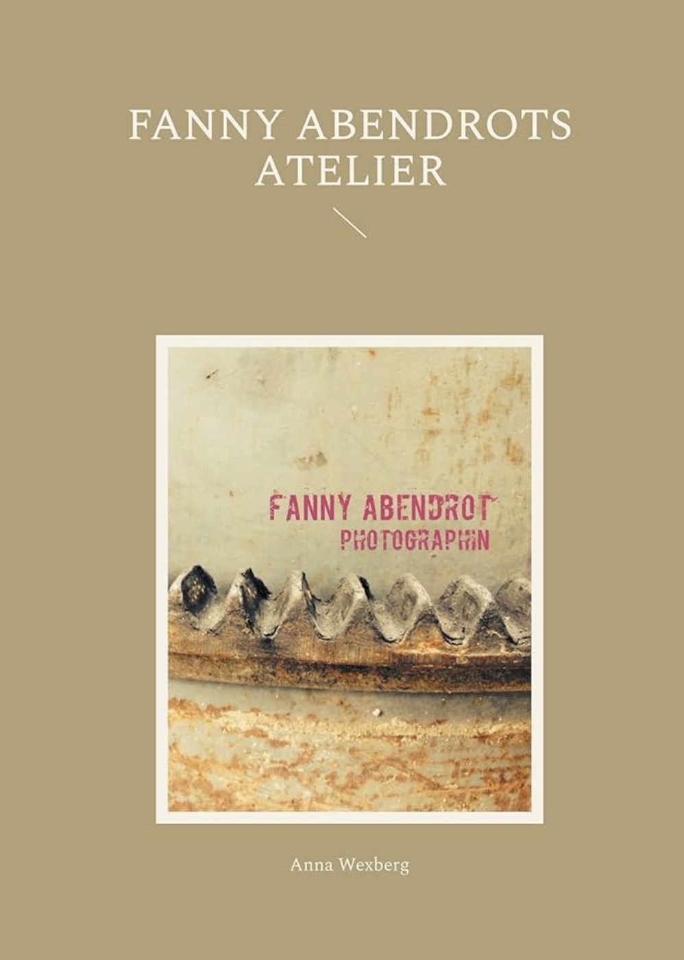 Buchcover von Fanny Abendrots Atelier von Anna Wexberg