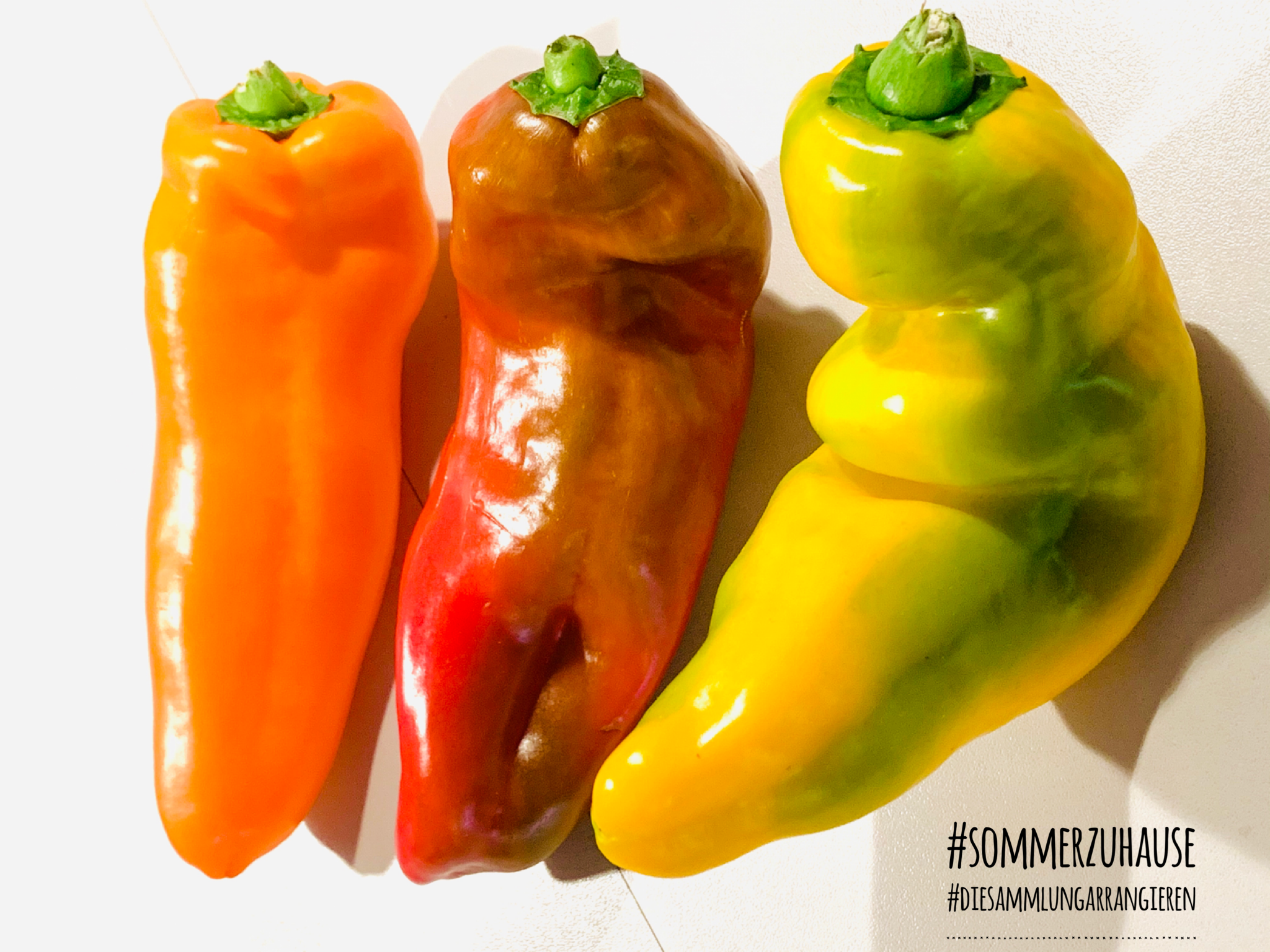Drei verschiedenfarbige Paprika als Arrangement